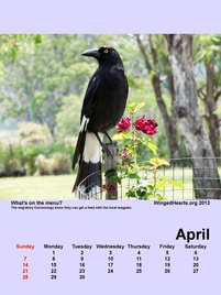 Winged Hearts Calendar 2013